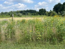 Watershed-Friendly PA Program Expands; Launches New Website