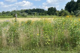 Watershed-Friendly PA Program Expands; Launches New Website